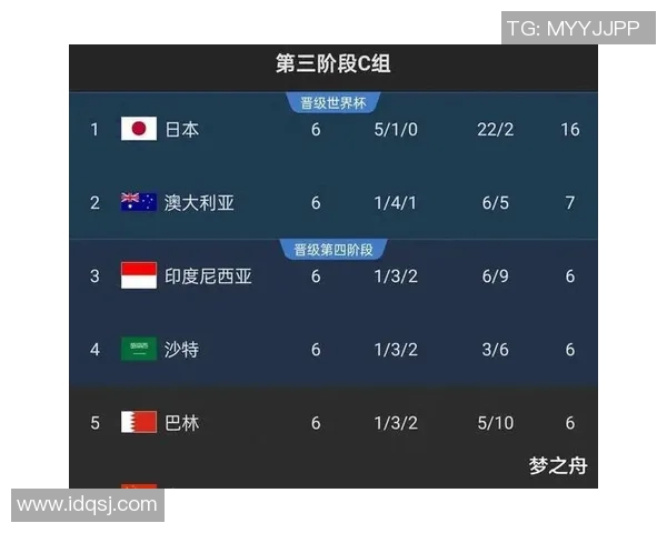 成都足球队在世界杯预选赛中的拼搏历程与荣耀追寻