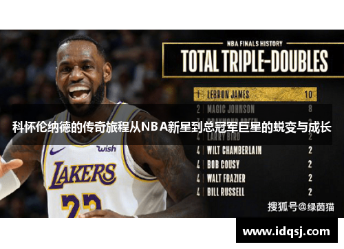 科怀伦纳德的传奇旅程从NBA新星到总冠军巨星的蜕变与成长